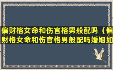 偏财格女命和伤官格男般配吗（偏财格女命和伤官格男般配吗婚姻如何）