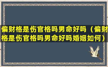 偏财格是伤官格吗男命好吗（偏财格是伤官格吗男命好吗婚姻如何）