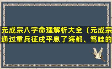 元成宗八字命理解析大全（元成宗通过重兵征戍平息了海都、笃哇的叛乱）