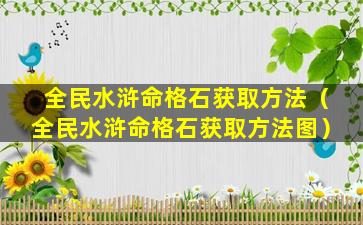 全民水浒命格石获取方法（全民水浒命格石获取方法图）