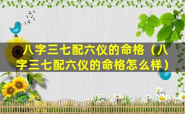 八字三七配六仪的命格（八字三七配六仪的命格怎么样）