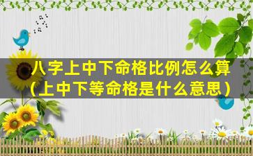 八字上中下命格比例怎么算（上中下等命格是什么意思）