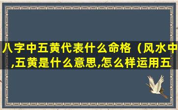 八字中五黄代表什么命格（风水中,五黄是什么意思,怎么样运用五黄）