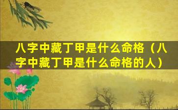 八字中藏丁甲是什么命格（八字中藏丁甲是什么命格的人）