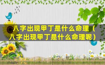 八字出现甲丁是什么命理（八字出现甲丁是什么命理呢）