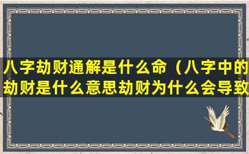 八字劫财通解是什么命（八字中的劫财是什么意思劫财为什么会导致破财）