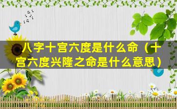 八字十宫六度是什么命（十宫六度兴隆之命是什么意思）