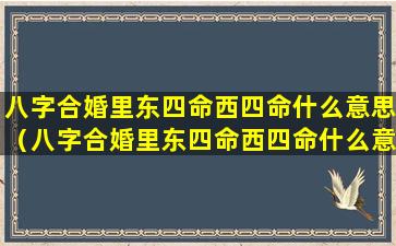 八字合婚里东四命西四命什么意思（八字合婚里东四命西四命什么意思啊）