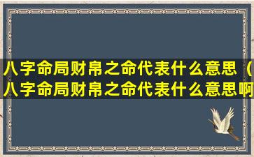 八字命局财帛之命代表什么意思（八字命局财帛之命代表什么意思啊）