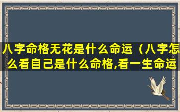 八字命格无花是什么命运（八字怎么看自己是什么命格,看一生命运）