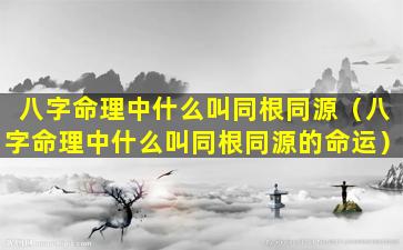 八字命理中什么叫同根同源（八字命理中什么叫同根同源的命运）