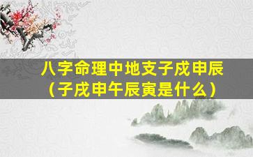 八字命理中地支子戍申辰（子戌申午辰寅是什么）