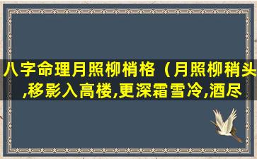 八字命理月照柳梢格（月照柳稍头,移影入高楼,更深霜雪冷,酒尽客难留）