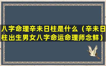 八字命理辛未日柱是什么（辛未日柱出生男女八字命运命理师念鲜）