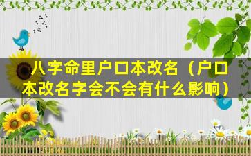 八字命里户口本改名（户口本改名字会不会有什么影响）