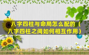 八字四柱与命局怎么配的（八字四柱之间如何相互作用）