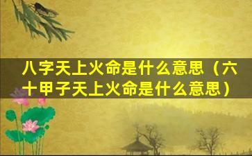 八字天上火命是什么意思（六十甲子天上火命是什么意思）