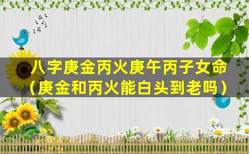 八字庚金丙火庚午丙子女命（庚金和丙火能白头到老吗）