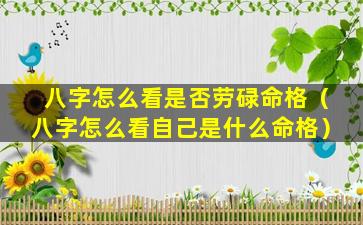 八字怎么看是否劳碌命格（八字怎么看自己是什么命格）