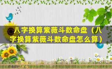 八字换算紫薇斗数命盘（八字换算紫薇斗数命盘怎么算）