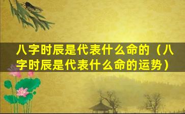 八字时辰是代表什么命的（八字时辰是代表什么命的运势）