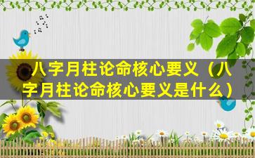 八字月柱论命核心要义（八字月柱论命核心要义是什么）