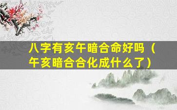 八字有亥午暗合命好吗（午亥暗合合化成什么了）