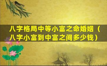 八字格局中等小富之命婚姻（八字小富到中富之间多少钱）