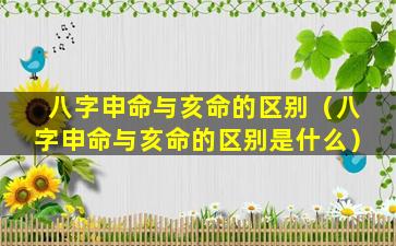 八字申命与亥命的区别（八字申命与亥命的区别是什么）