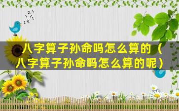 八字算子孙命吗怎么算的（八字算子孙命吗怎么算的呢）