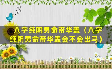 八字纯阴男命带华盖（八字纯阴男命带华盖会不会出马）