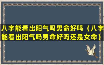 八字能看出阳气吗男命好吗（八字能看出阳气吗男命好吗还是女命）