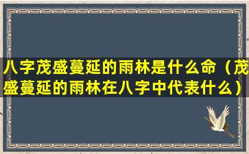 八字茂盛蔓延的雨林是什么命（茂盛蔓延的雨林在八字中代表什么）