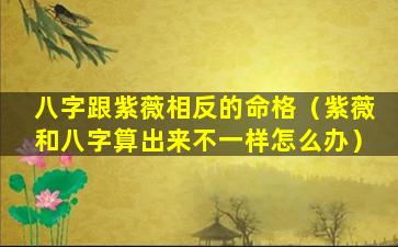 八字跟紫薇相反的命格（紫薇和八字算出来不一样怎么办）