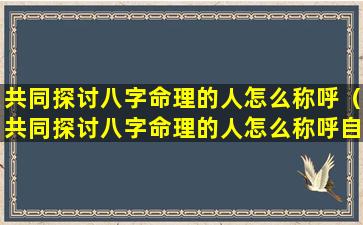 共同探讨八字命理的人怎么称呼（共同探讨八字命理的人怎么称呼自己）