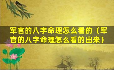 军官的八字命理怎么看的（军官的八字命理怎么看的出来）