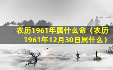 农历1961年属什么命（农历1961年12月30日属什么）