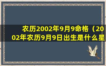 农历2002年9月9命格（2002年农历9月9日出生是什么星座）