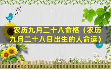 农历九月二十八命格（农历九月二十八日出生的人命运）