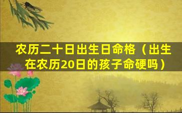 农历二十日出生日命格（出生在农历20日的孩子命硬吗）