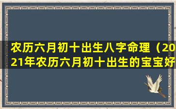 农历六月初十出生八字命理（2021年农历六月初十出生的宝宝好吗）