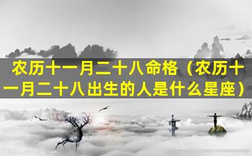 农历十一月二十八命格（农历十一月二十八出生的人是什么星座）