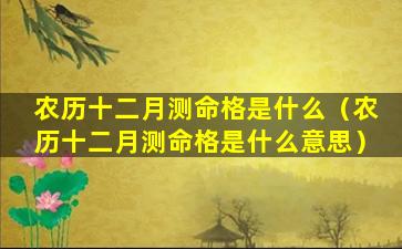 农历十二月测命格是什么（农历十二月测命格是什么意思）