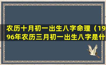 农历十月初一出生八字命理（1996年农历三月初一出生八字是什么）