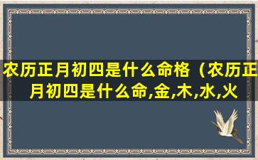 农历正月初四是什么命格（农历正月初四是什么命,金,木,水,火,土）