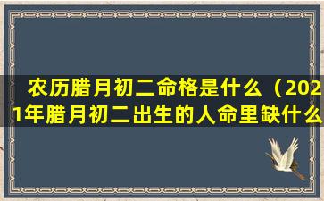 农历腊月初二命格是什么（2021年腊月初二出生的人命里缺什么）