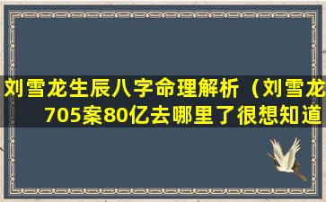 刘雪龙生辰八字命理解析（刘雪龙705案80亿去哪里了很想知道）