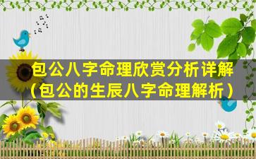 包公八字命理欣赏分析详解（包公的生辰八字命理解析）