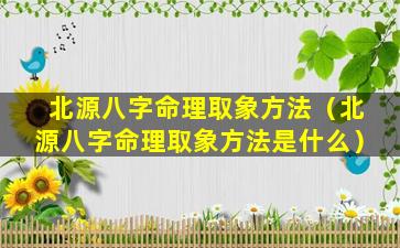 北源八字命理取象方法（北源八字命理取象方法是什么）