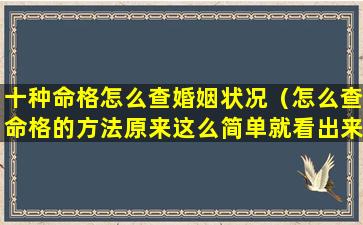 十种命格怎么查婚姻状况（怎么查命格的方法原来这么简单就看出来了）